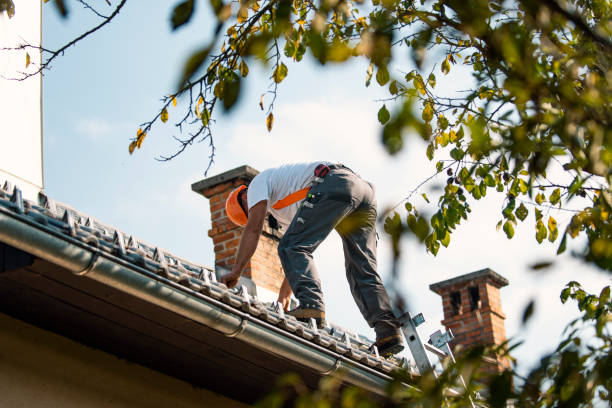 Best Storm Damage Roof Repair  in Mountain Village, CO